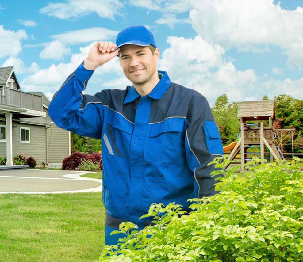 Best local pest control in Jacksonville Florida
