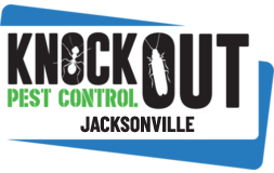 logo-knockout-jacksonville KnockOut Pest Control Jacksonville Logo